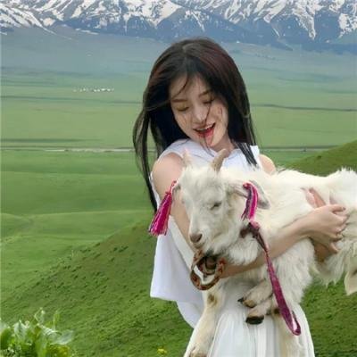 命运 冠位指定 绝对魔兽战线巴比伦尼亚