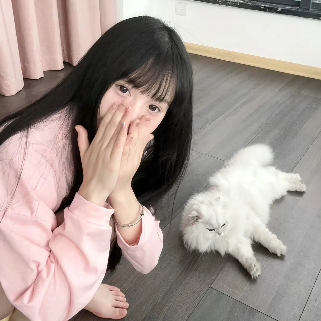 蛇宝寻错跃龙门